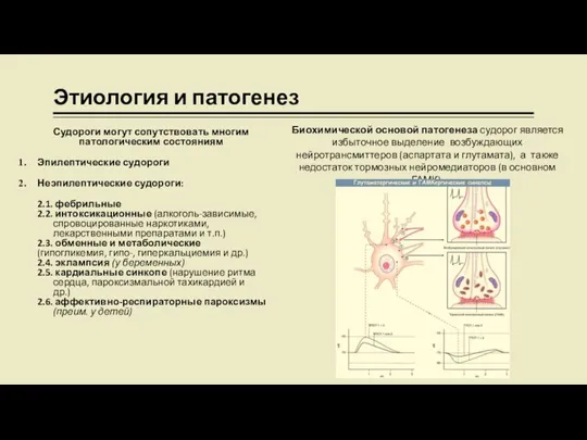 Этиология и патогенез Судороги могут сопутствовать многим патологическим состояниям Эпилептические судороги Неэпилептические