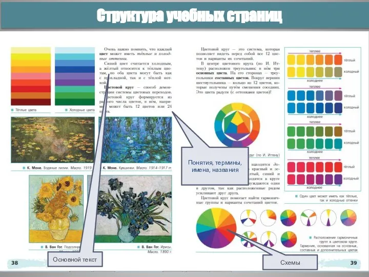 Структура учебных страниц Основной текст Схемы Понятия, термины, имена, названия