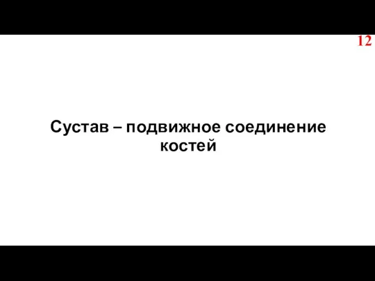 Сустав – подвижное соединение костей