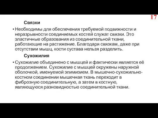 Связки Необходимы для обеспечения требуемой подвижности и неразрывности соединяемых костей служат связки.