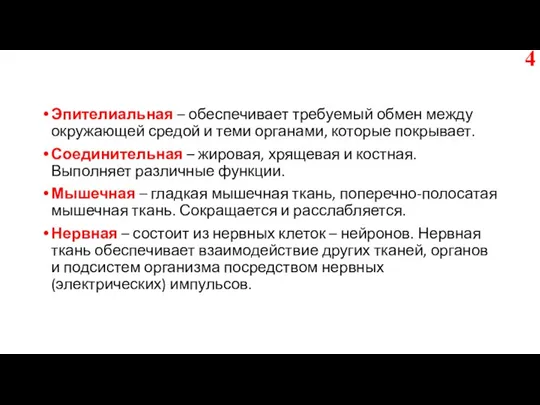 Эпителиальная – обеспечивает требуемый обмен между окружающей средой и теми органами, которые