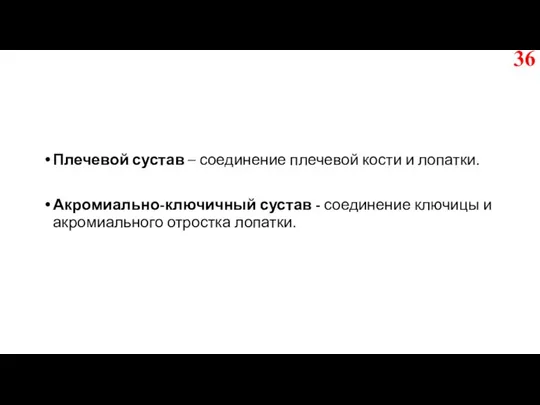 Плечевой сустав – соединение плечевой кости и лопатки. Акромиально-ключичный сустав - соединение