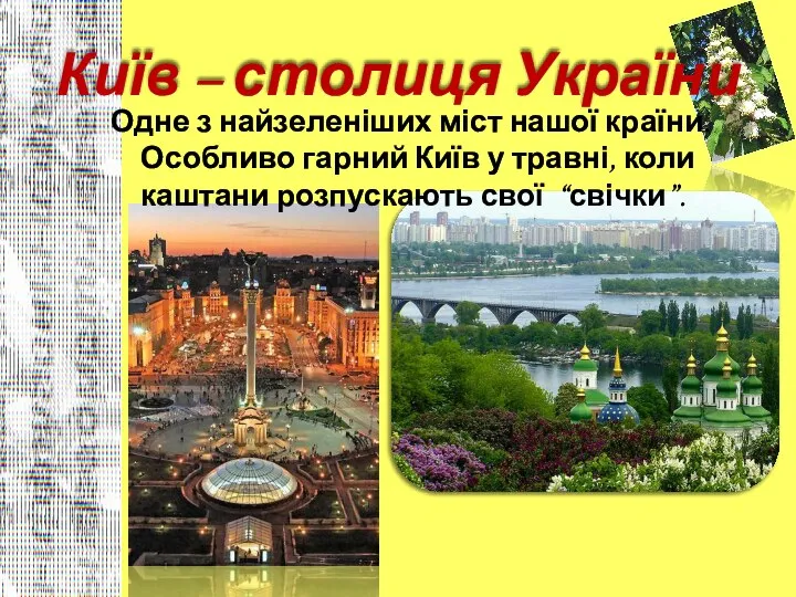 Одне з найзеленіших міст нашої країни. Особливо гарний Київ у травні, коли