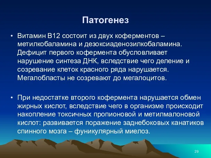 Патогенез Витамин В12 состоит из двух коферментов – метилкобаламина и дезоксиаденозилкобаламина. Дефицит