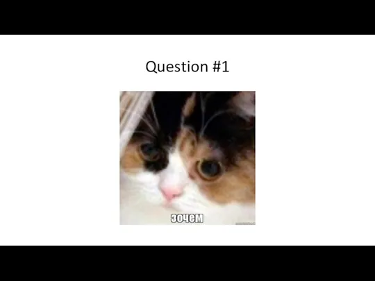 Question #1