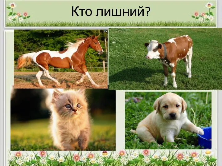 Кто лишний?