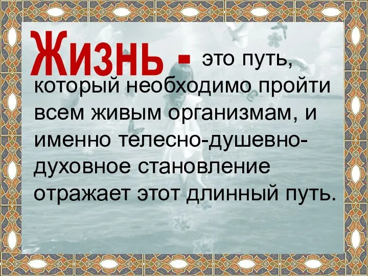 Жизнь - это путь, который необходимо пройти всем живым организмам, и именно