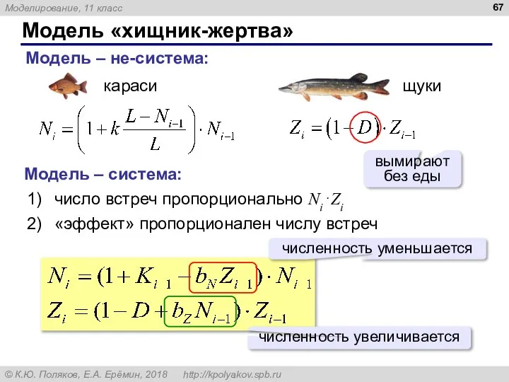 Модель «хищник-жертва» Модель – не-система: Модель – система: число встреч пропорционально Ni⋅Zi «эффект» пропорционален числу встреч