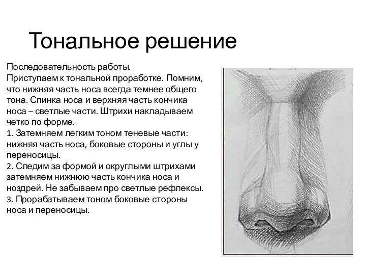 Тональное решение Последовательность работы. Приступаем к тональной проработке. Помним, что нижняя часть