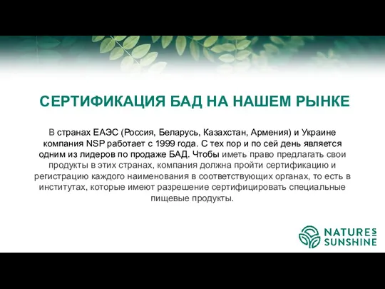 В странах ЕАЭС (Россия, Беларусь, Казахстан, Армения) и Украине компания NSP работает