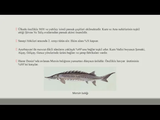 Ülkede özellikle 3038 ve yubiley isimli pamuk çeşitleri ekilmektedir. Kura ve Aras