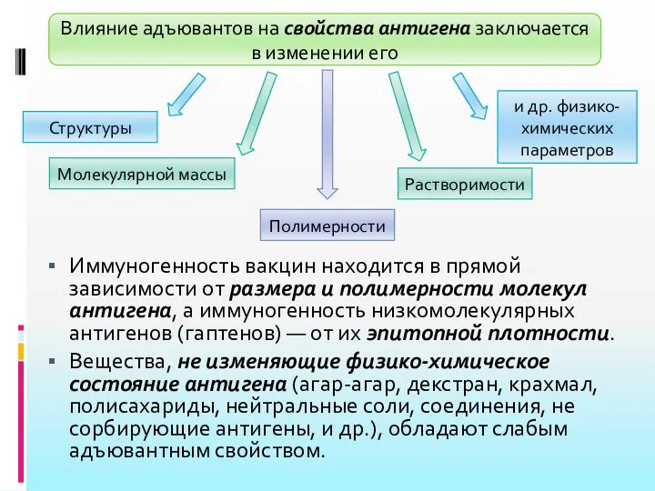 Иммуногенность вакцин находится в прямой зависимости от размера и полимерности молекул антигена,