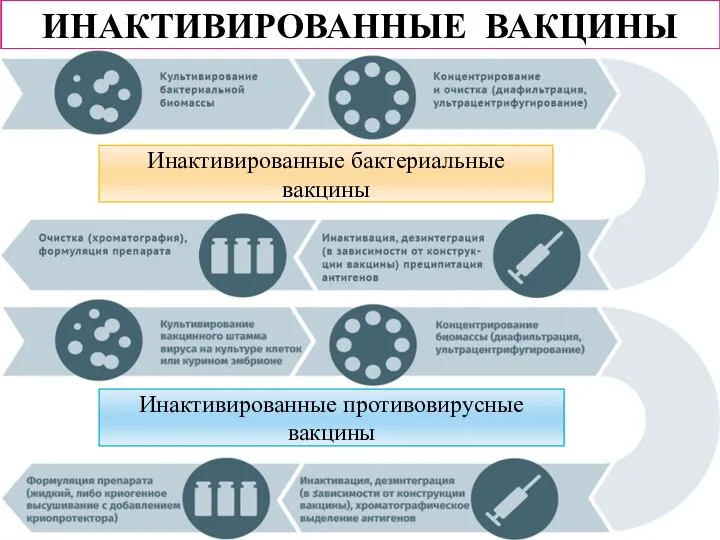 ИНАКТИВИРОВАННЫЕ ВАКЦИНЫ Инактивированные бактериальные вакцины Инактивированные противовирусные вакцины