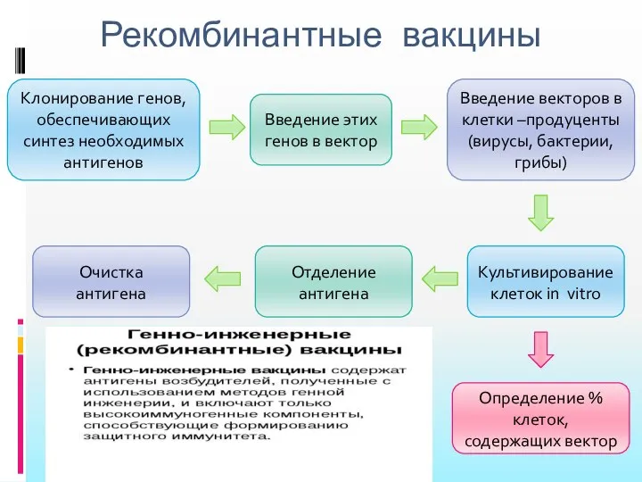 Рекомбинантные вакцины Клонирование генов, обеспечивающих синтез необходимых антигенов Введение этих генов в