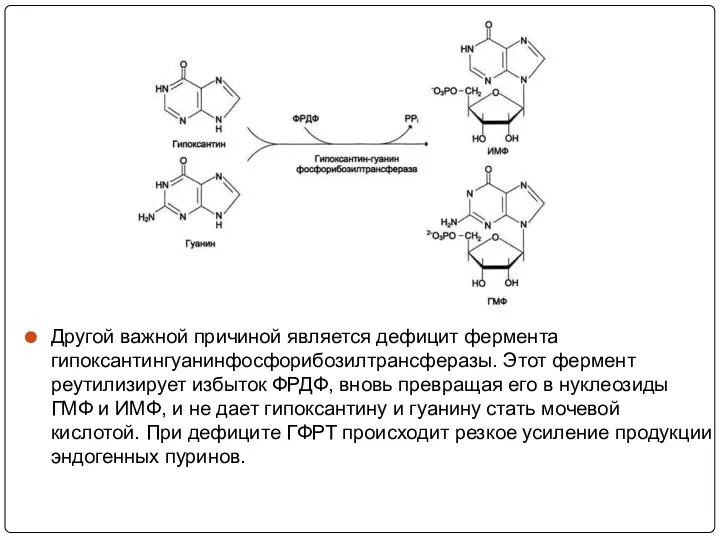 Другой важной причиной является дефицит фермента гипоксантингуанинфосфорибозилтрансферазы. Этот фермент реутилизирует избыток ФРДФ,