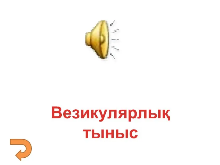 Везикулярлық тыныс