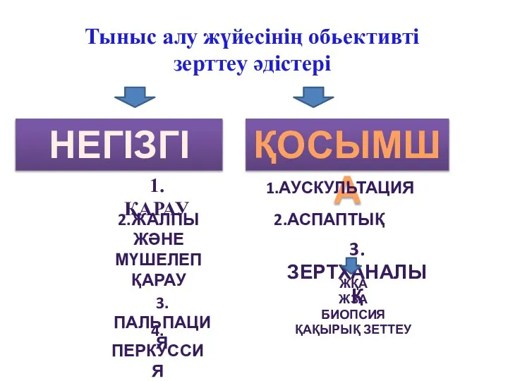 Тыныс алу жүйесінің обьективті зерттеу әдістері НЕГІЗГІ ҚОСЫМША 1.ҚАРАУ 2.ЖАЛПЫ ЖӘНЕ МҮШЕЛЕП