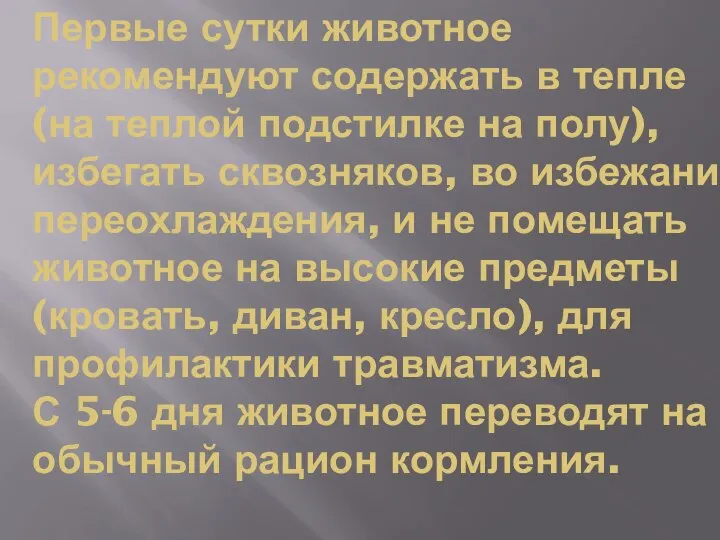 Первые сутки животное рекомендуют содержать в тепле (на теплой подстилке на полу),