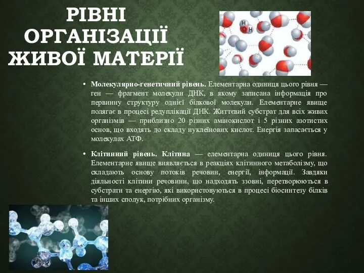 РІВНІ ОРГАНІЗАЦІЇ ЖИВОЇ МАТЕРІЇ Молекулярно-генетичний рівень. Елементарна одиниця цього рівня — ген