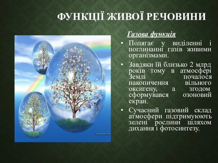 ФУНКЦІЇ ЖИВОЇ РЕЧОВИНИ Газова функція Полягає у виділенні і поглинанні газів живими