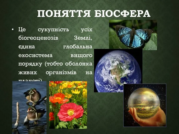 ПОНЯТТЯ БІОСФЕРА Це сукупність усіх біогеоценозів Землі, єдина глобальна екосистема вищого порядку
