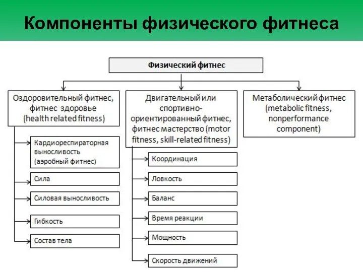 Компоненты физического фитнеса