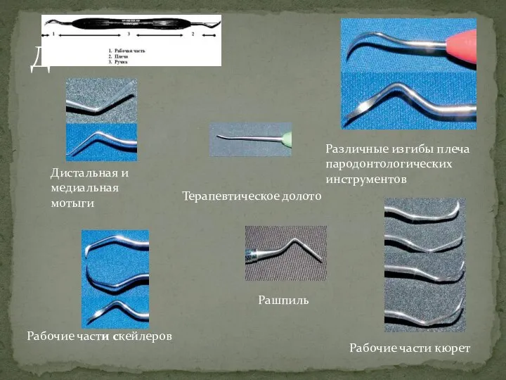 Д Рабочие части кюрет Терапевтическое долото Дистальная и медиальная мотыги Рашпиль Различные