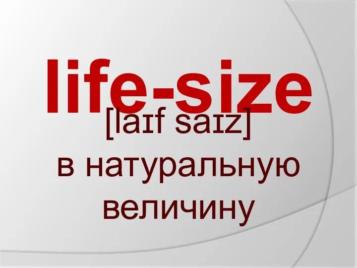 life-size [laɪf saɪz] в натуральную величину