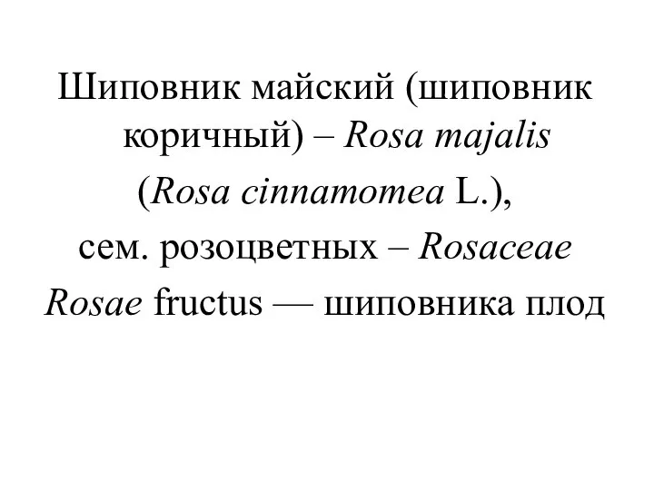 Шиповник майский (шиповник коричный) – Rosa majalis (Rosa cinnamomea L.), сем. розоцветных