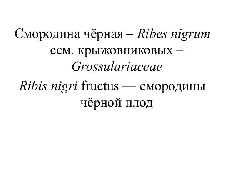 Смородина чёрная – Ribes nigrum сем. крыжовниковых – Grossulariaceae Ribis nigri fructus — смородины чёрной плод