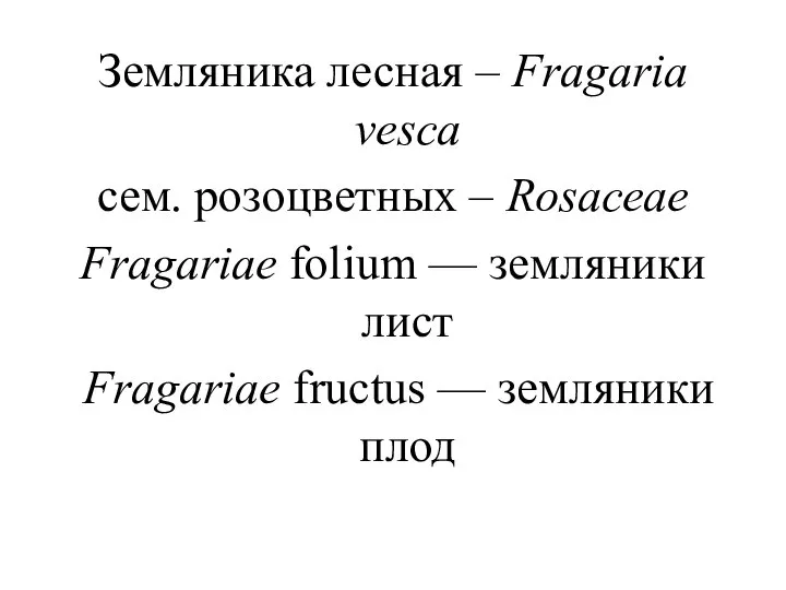 Земляника лесная – Fragaria vesca сем. розоцветных – Rosaсеае Fragariae folium —