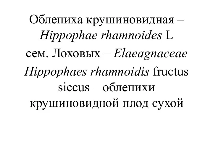 Облепиха крушиновидная – Hippophae rhamnoides L сем. Лоховых – Elaeagnaceae Hippophaes rhamnoidis