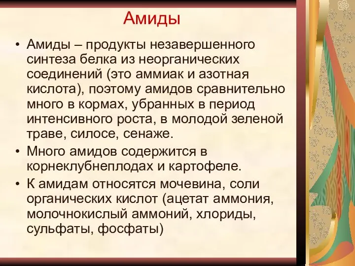 Амиды Амиды – продукты незавершенного синтеза белка из неорганических соединений (это аммиак