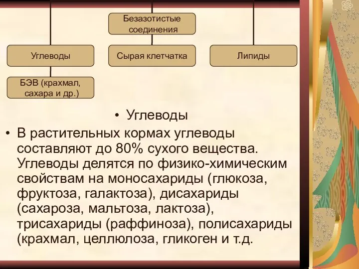 Углеводы В растительных кормах углеводы составляют до 80% сухого вещества. Углеводы делятся