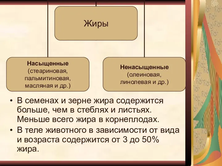 В семенах и зерне жира содержится больше, чем в стеблях и листьях.