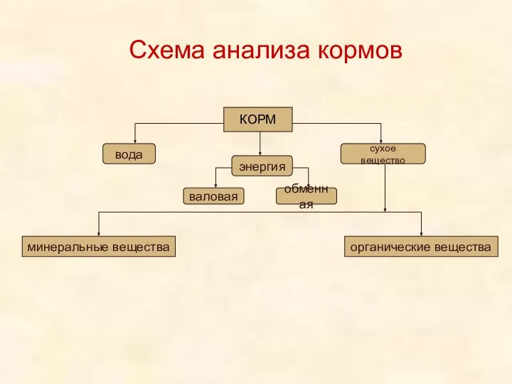 Схема анализа кормов КОРМ вода сухое вещество энергия валовая обменная минеральные вещества органические вещества