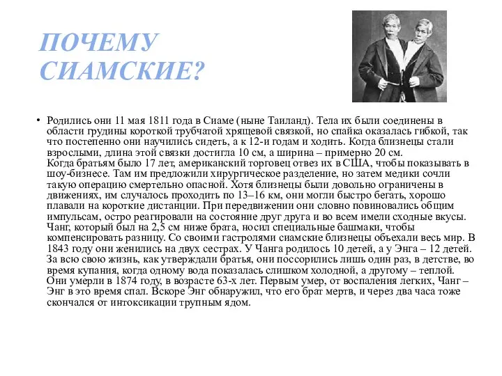 ПОЧЕМУ СИАМСКИЕ? Родились они 11 мая 1811 года в Сиаме (ныне Таиланд).