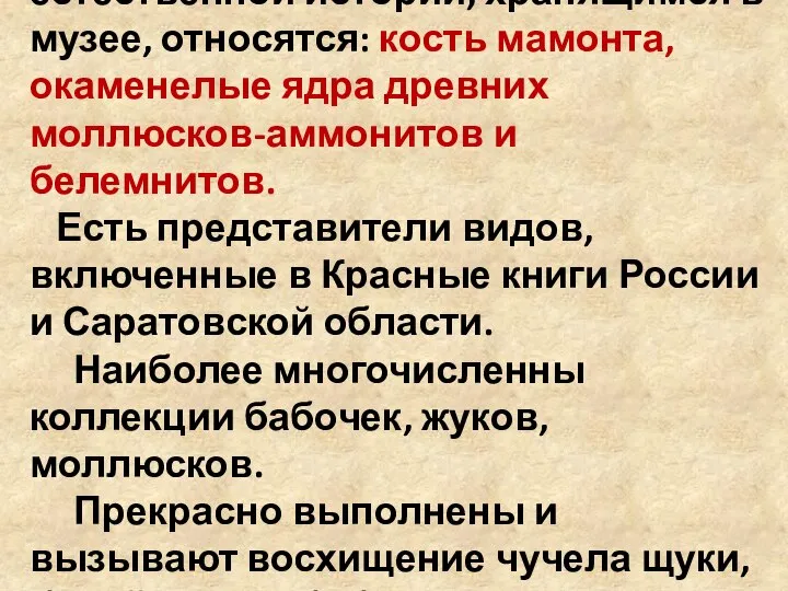 К уникальным памятникам естественной истории, хранящимся в музее, относятся: кость мамонта, окаменелые