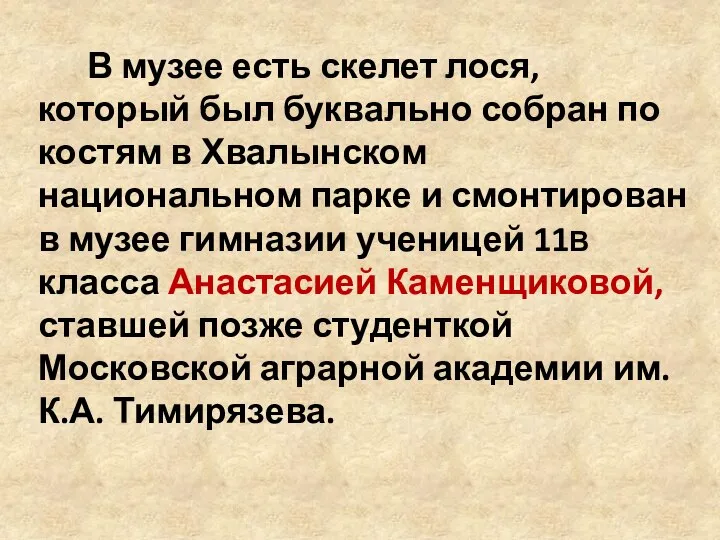 В музее есть скелет лося, который был буквально собран по костям в