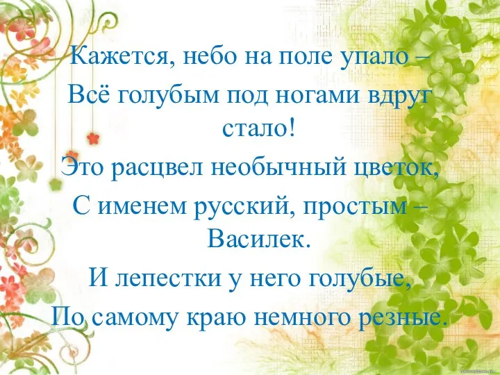 Кажется, небо на поле упало – Всё голубым под ногами вдруг стало!