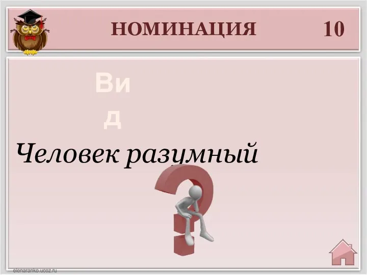 НОМИНАЦИЯ 10 Человек разумный Вид