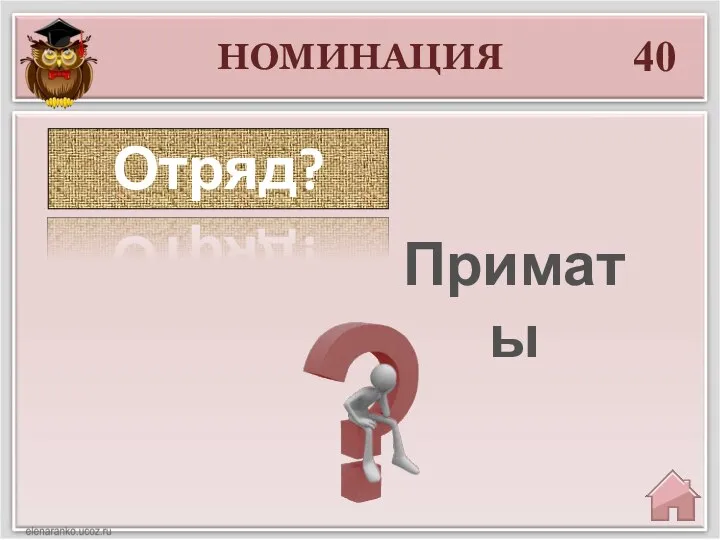 НОМИНАЦИЯ 40 Отряд? Приматы