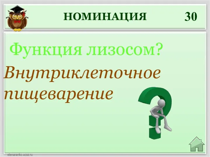 НОМИНАЦИЯ 30 Внутриклеточное пищеварение Функция лизосом?