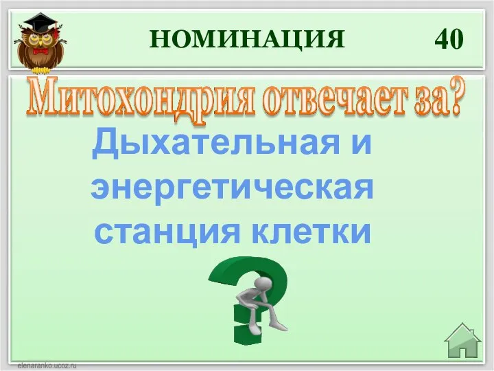 НОМИНАЦИЯ 40 Дыхательная и энергетическая станция клетки