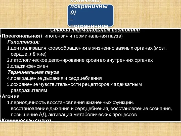 Терминальное состояние (лат. terminalis – конечный, пограничный) – пограничное между жизнью и