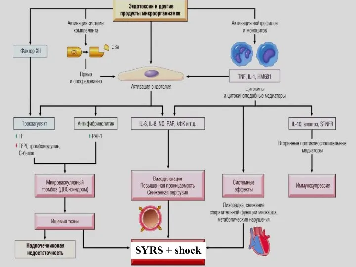 SYRS + shock