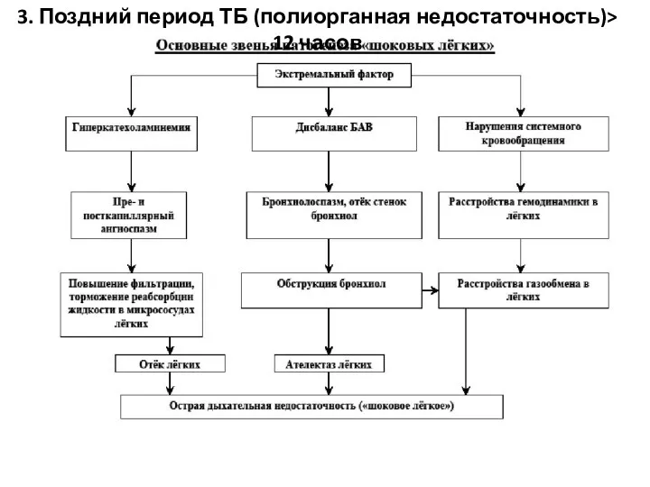 3. Поздний период ТБ (полиорганная недостаточность)> 12 часов