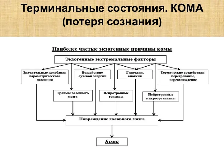 Терминальные состояния. КОМА (потеря сознания)