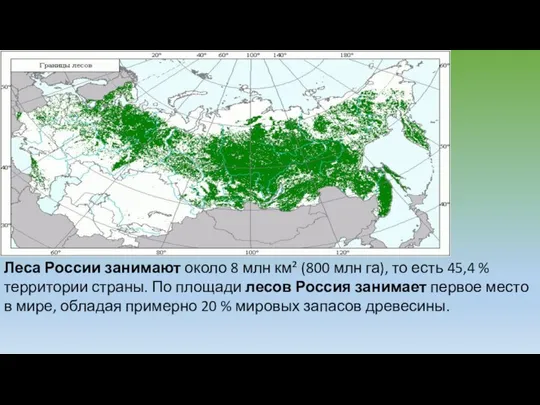 Леса России занимают около 8 млн км² (800 млн га), то есть