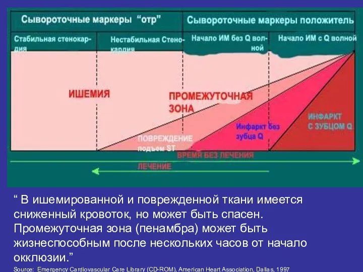 “ В ишемированной и поврежденной ткани имеется сниженный кровоток, но может быть